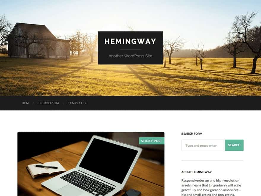 Best 40+ Free WordPress Blog Themes for Bloggers & Content Writers Hemingway WordPress theme