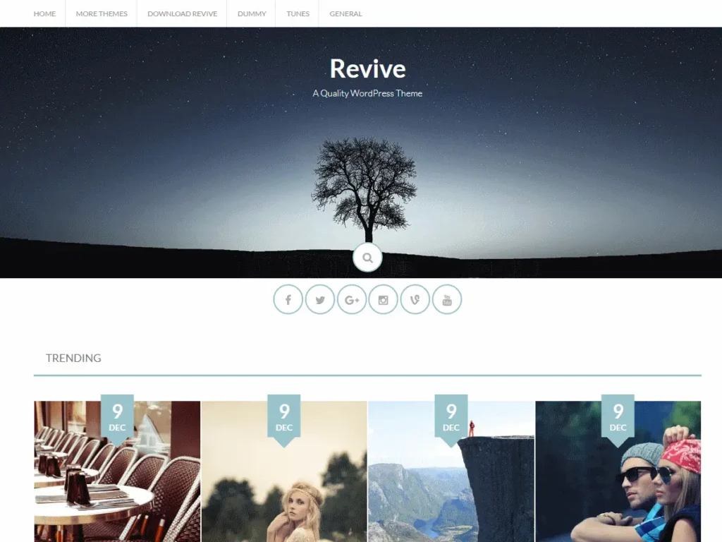 Best 40+ Free WordPress Blog Themes for Bloggers & Content Writers Revive WordPress blog theme