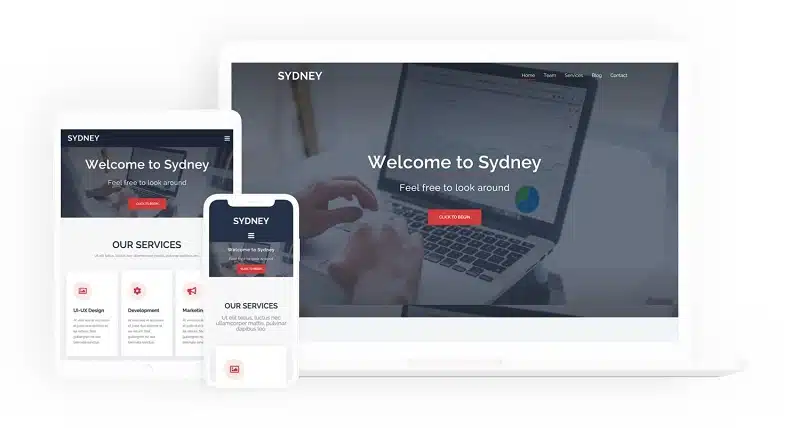 Elementor Themes - Which Themes Work Best with Elementor? Sydney Elementor Theme