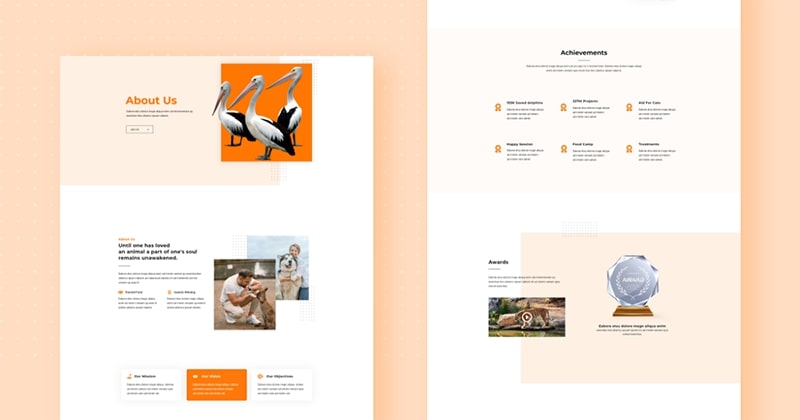 About Us Page Introducing FREE Animal Welfare Joomla Template Kit for JD Builder Pro