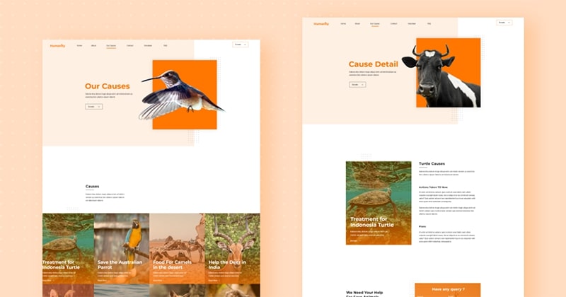 Causes and Details Page Introducing FREE Animal Welfare Joomla Template Kit for JD Builder Pro