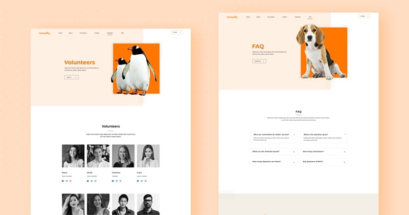 Volunteer and FAQ Page Introducing FREE Animal Welfare Joomla Template Kit for JD Builder Pro